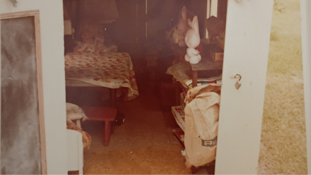 A picture of the inside of the playhouse
